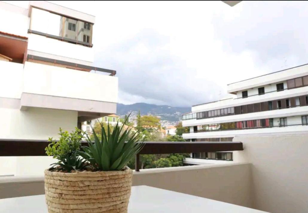 Vista Infante Apartments Funchal  Bagian luar foto